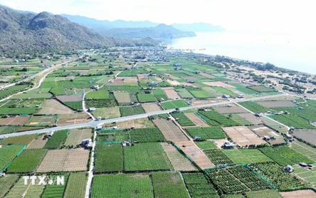 Khanh Hoa: Nuclear power project - A new growth driver
